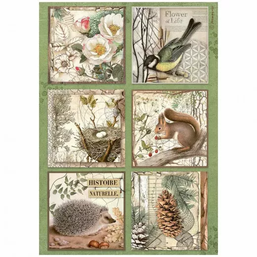 Stamperia Rice Paper - Forest - 6 Cards