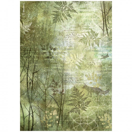 Stamperia Rice Paper - Forest - Trees