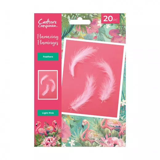 Feathers - Flamazing Flamingos