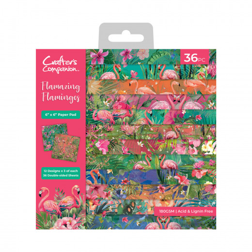 Flamazing Flamingos - 6x6 Paper Pad