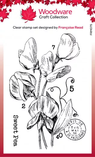 Woodware Clear Stamps - Sweet Pea