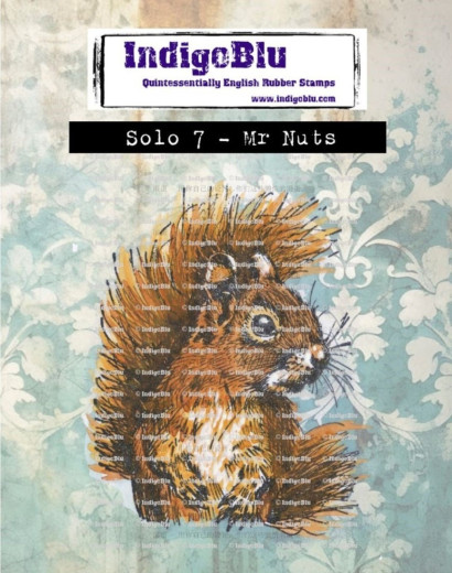 Unmounted Rubber Stamps - Solo 7 - Mr Nuts