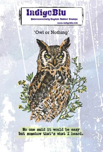 Unmounted Rubber Stamps - Owl or Nothing