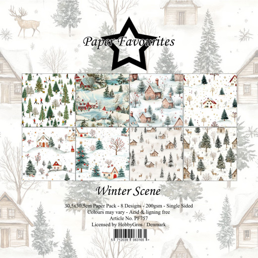 Paper Favourites - Winter Scene - 12x12 Paper Pack