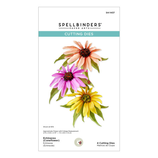 Spellbinders Etched Dies - Summer Solstice Garden - Echinacea (Coneflower)