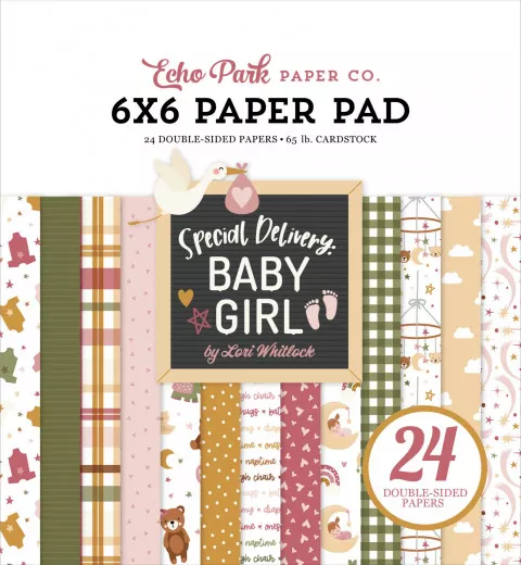 Special Delivery: Baby Girl - 6x6 Paper Pad