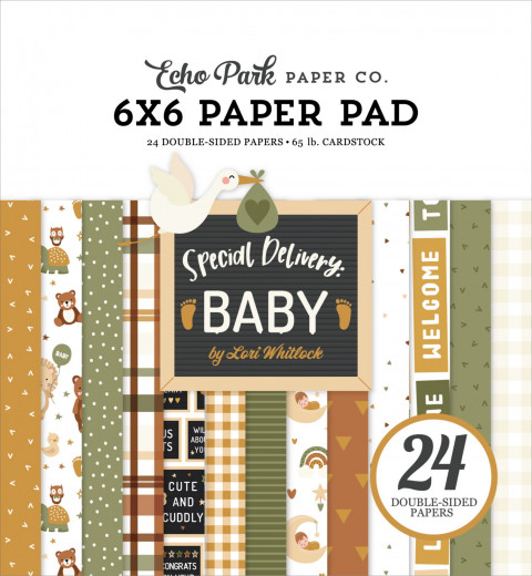 Special Delivery: Baby - 6x6 Paper Pad