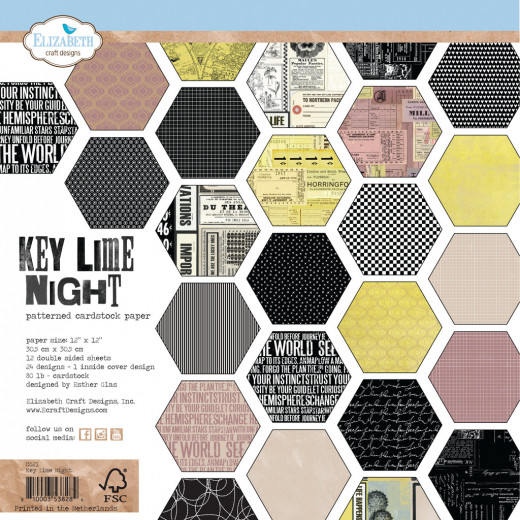 Elizabeth Crafts Design - 12x12 Paper Pack - Key Lime Night