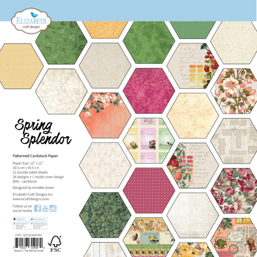 Elizabeth Crafts Design - 12x12 Paper Pack - Joys of Spring - Spring Splendor