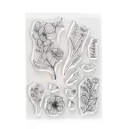 Clear Stamps - Kindness