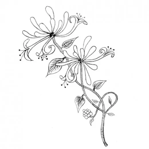 Lavinia Clear Stamps - Honeysuckle