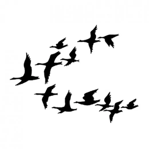 Lavinia Clear Stamps - Ducks