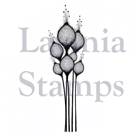 Lavinia Clear Stamps - Fairy Thistles