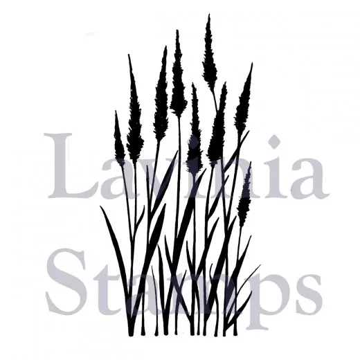 Lavinia Clear Stamps - Meadow Grass