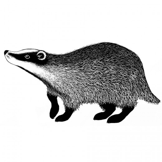 Lavinia Clear Stamps - Badger 2