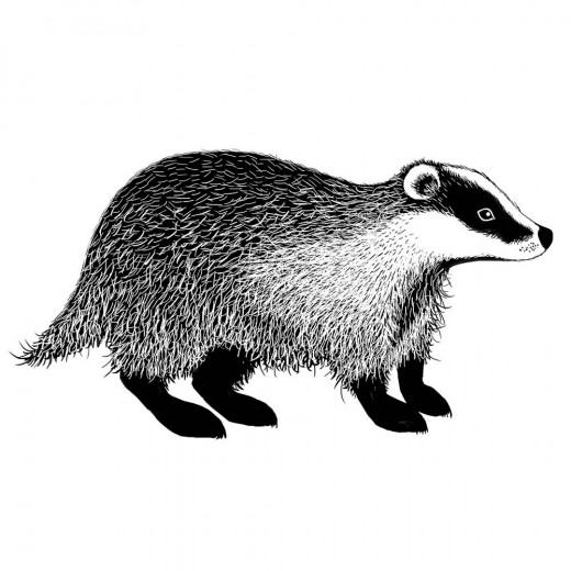 Lavinia Clear Stamps - Badger