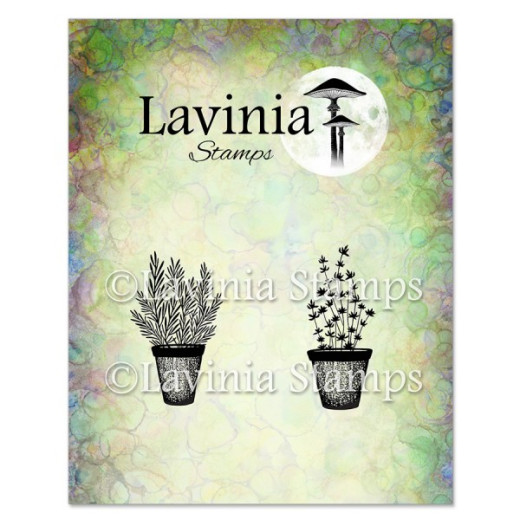 Lavinia Clear Stamps - Rosemary & Thyme Pots