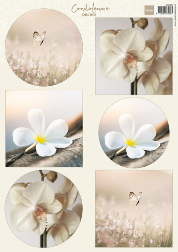 Schneidebogen A4 - Condoleance - Orchid