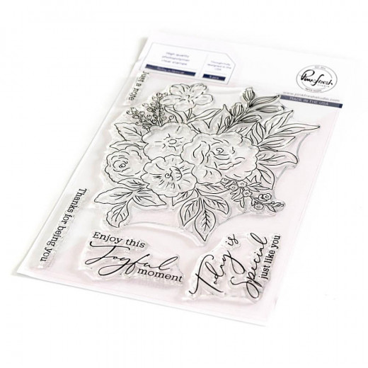 Clear Stamp Set - Today Is Special