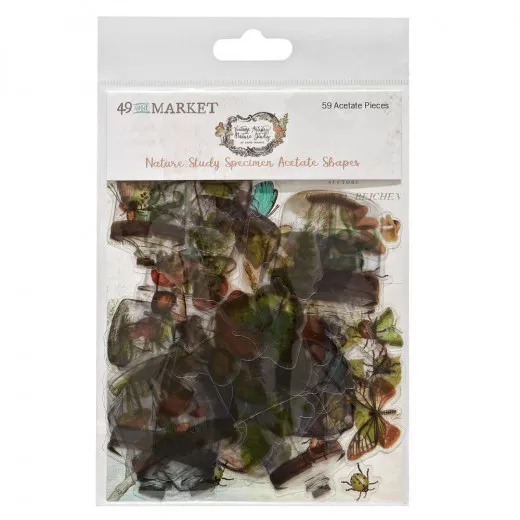 49 and Market - Nature Study: Acetate Shapes - Specimen