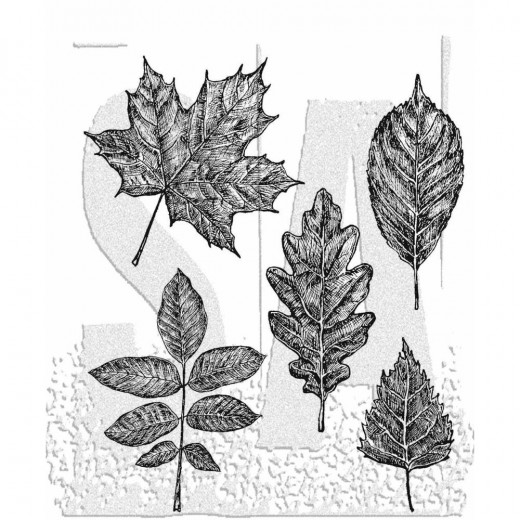 Cling Stamps Tim Holtz - Sketchy Leaves