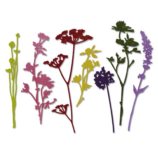 Thinlits Die by Tim Holtz - Wildflowers