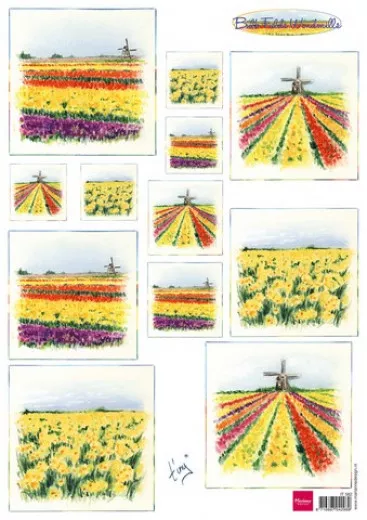 Schneidebogen - Bulb Fields Windmills