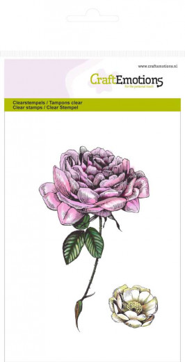 Clear Stamps - Botanical Rose