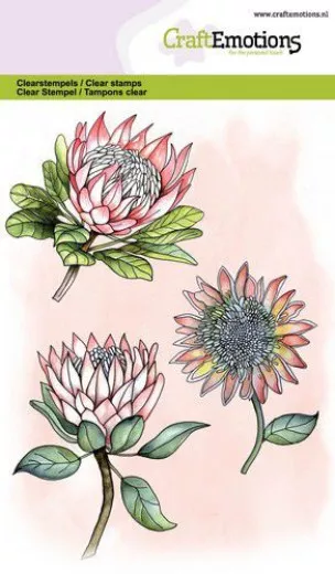 Clear Stamps - Protea 3 Blüten