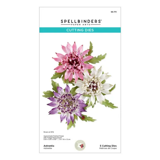 Verpackung mit drei gestanzten Sterndolden-Blüten in Rosa, Weiß und Violett samt Blättern.