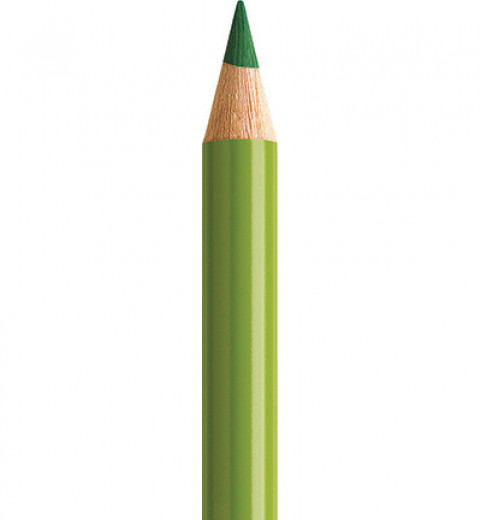 Polychromos - Earth Green Yellowis