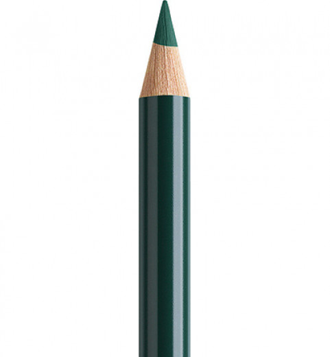 Polychromos - Pine Green