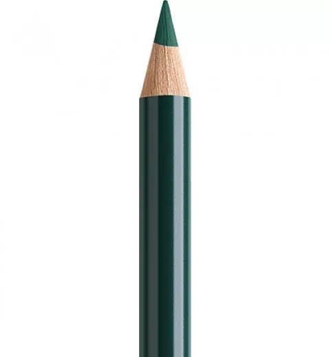 Polychromos - Pine Green