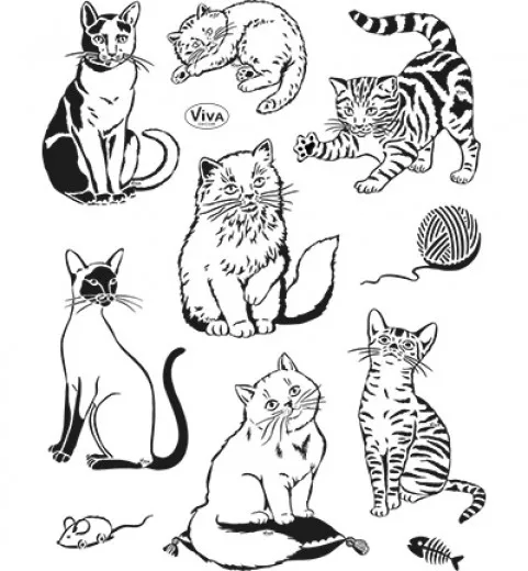 Clear Stamps - Katzen