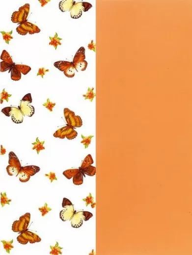 Pergamentpapier Duo Schmetterling-orange