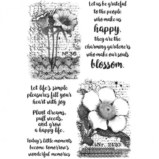 Darkroom Door Cling Stamps - Botanical Script