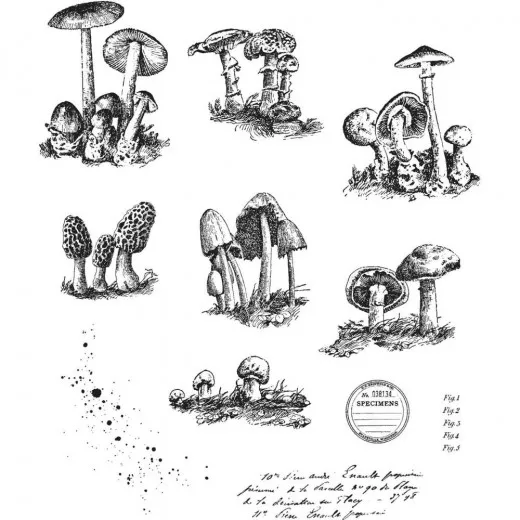 Cling Stamps by Tim Holtz - Tiny Toadstools