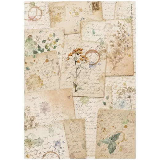 Stamperia Reispapier A4 mit Blumen und Gedichten, vintage Postkarten-Design auf Creme, botanische Motive