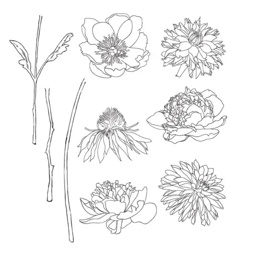 Neun detailreiche Cling Stamps Blütenmotive von Tim Holtz Flower Garden auf weißem Hintergrund