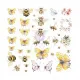 Among the Wildflowers - Vellum Ephemera - Spring Wings