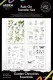 Arden Creative Studio - Rub-On Transfers - Garden Chronicles by Katie Pertiet