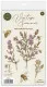 Clear Stamps - Vintage Summer - Bee & Lavender by Olena Kovalova