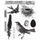 Cling Stamps by Tim Holtz - Bird Feather