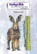 Unmounted Rubber Stamps - Winter Hare