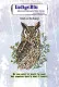 Unmounted Rubber Stamps - Owl or Nothing
