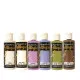 Stamperia Allegro Paint Selection - All Around