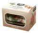 Studio Light - Transparent Stickers on Roll - Vintage Christmas - Greens
