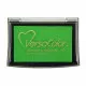 VersaColor Pigment Stempelkissen - Fresh Green