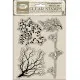 Stamperia Clear Stamps - Herbarium Silvae - Tree Branches