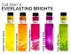 Magical Shakers Set - Everlasting Brights by Cat Kerr